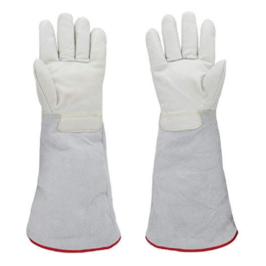 Gloves